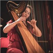 Insegnante di scuola primaria offre lezioni e ripetizioni-scuola primaria